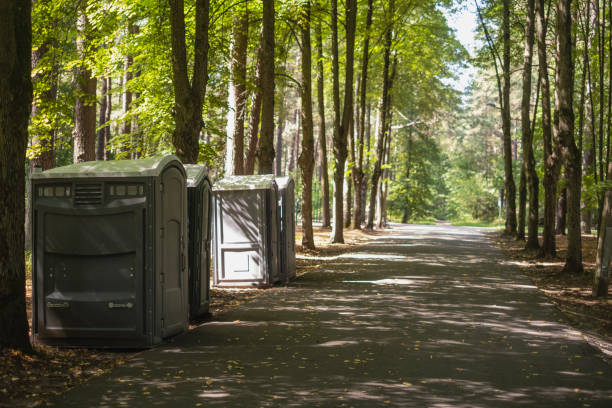 Portable Toilet Options We Offer in Sawyerwood, OH
